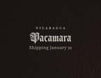 Pacamara (Preorder)